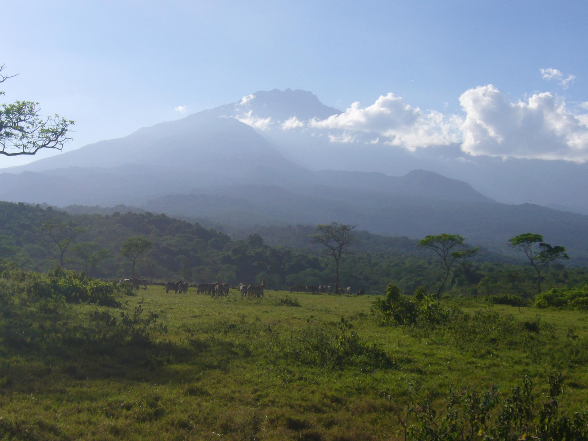 タンザニア／メルー山（4,562m）登頂 9日間