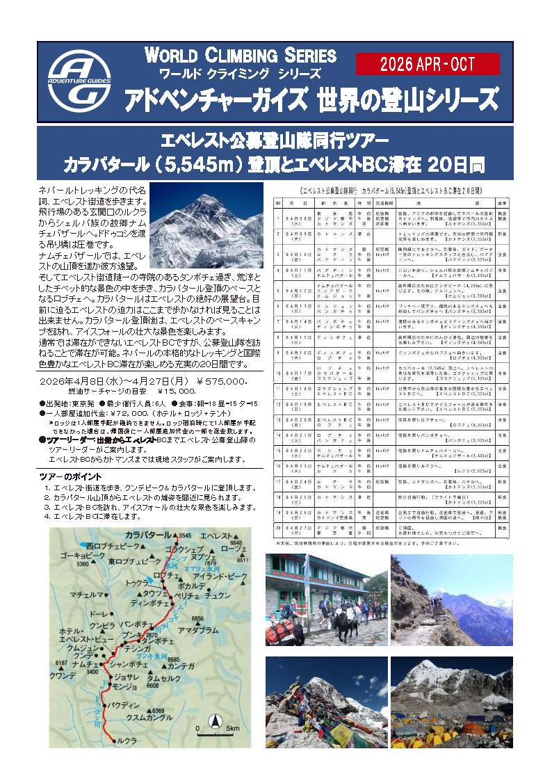 カラパタールチラシ